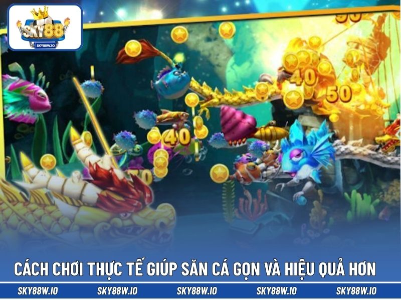 Cách chơi thực tế giúp săn cá gọn và hiệu quả hơn 