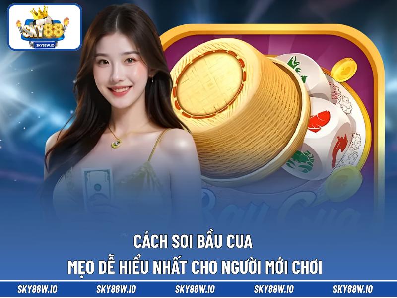 Cách Soi Bầu Cua - Mẹo Dễ Hiểu Nhất Cho Người Mới Chơi