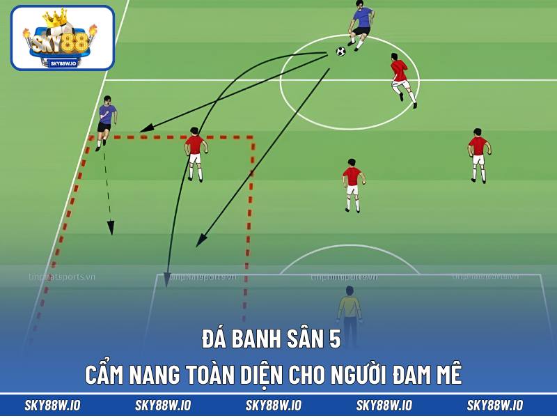 Đá Banh Sân 5 - Cẩm Nang Toàn Diện Cho Người Đam Mê