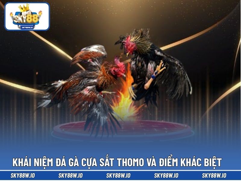 Khái niệm đá gà cựa sắt thomo và điểm khác biệt 