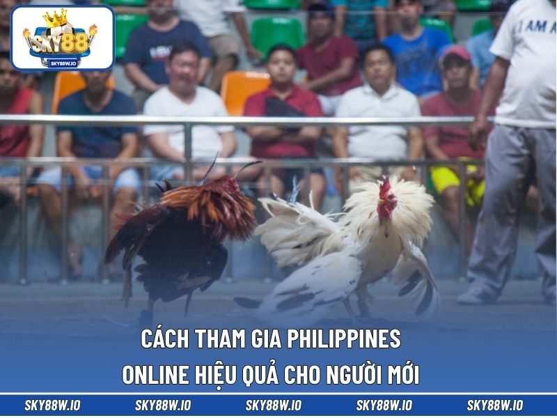 Cách tham gia Philippines online hiệu quả cho người mới