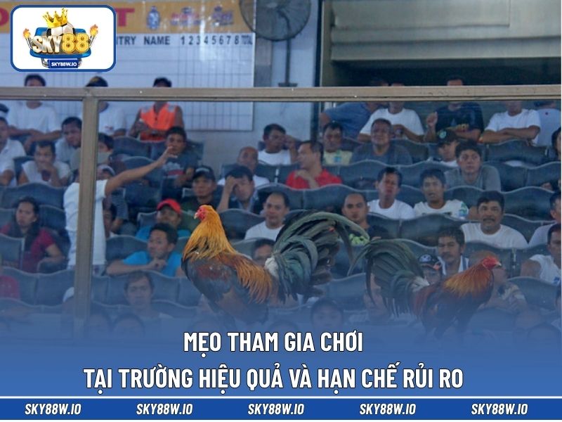 Mẹo tham gia chơi tại trường hiệu quả và hạn chế rủi ro