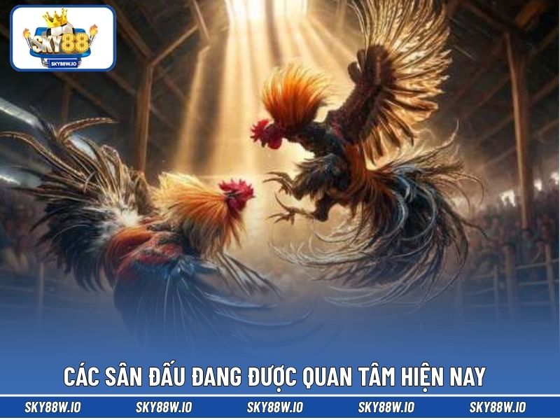 Các sân đấu đang được quan tâm hiện nay