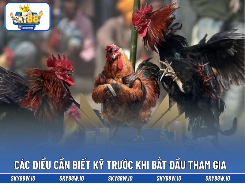 Các điều cần biết kỹ trước khi bắt đầu tham gia