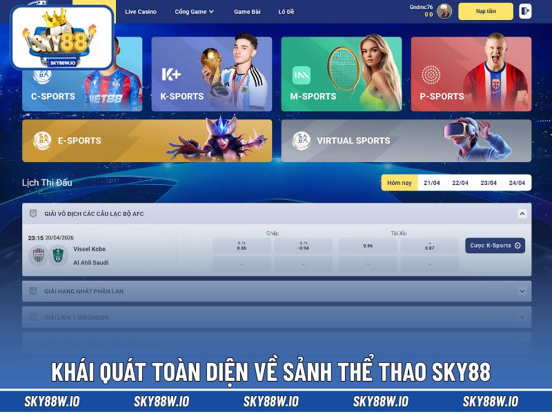 Khái quát toàn diện về sảnh thể thao SKY88