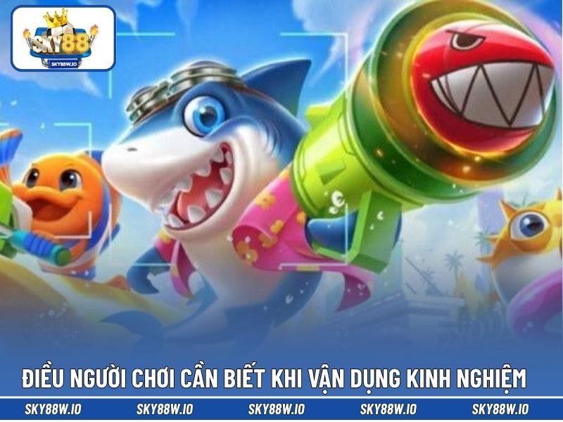 Điều người chơi cần biết khi vận dụng kinh nghiệm 