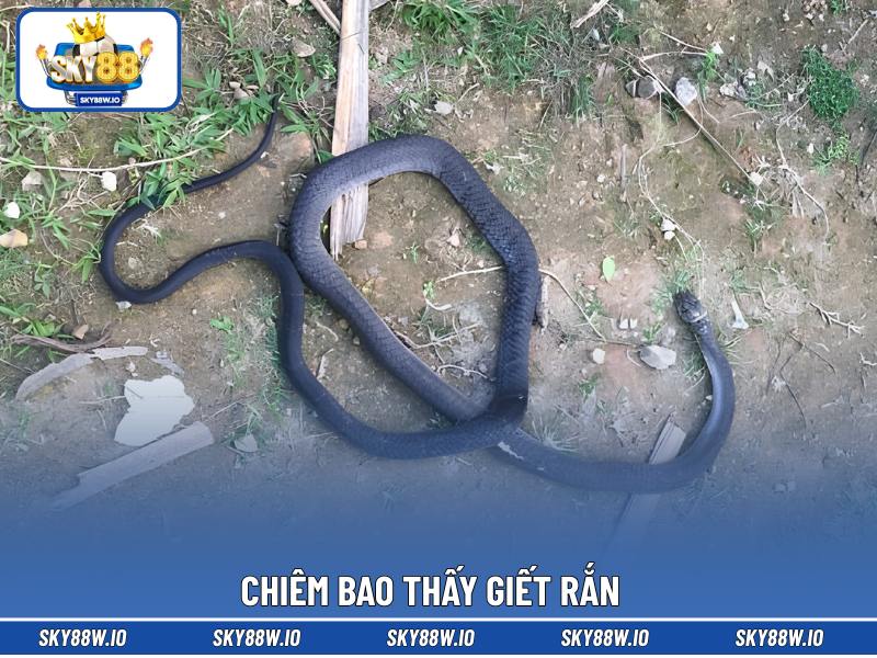 Chiêm bao thấy giết rắn