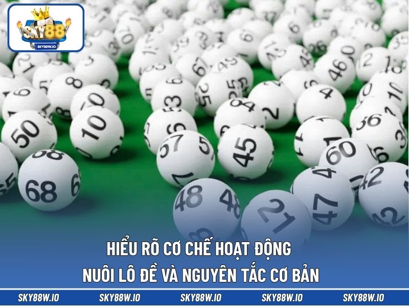 Hiểu rõ cơ chế hoạt động nuôi lô đề và nguyên tắc cơ bản