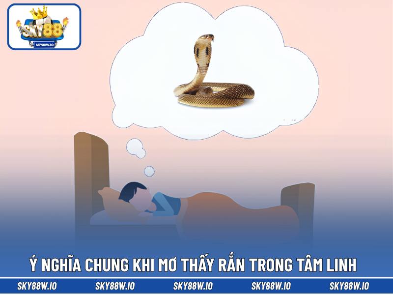 Ý nghĩa chung khi mơ thấy rắn trong tâm linh